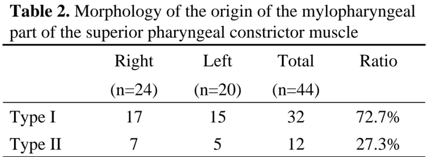 Table 2. Morphology of the origin of the mylopharyngeal part of the superior pharyngeal constrictor muscle 