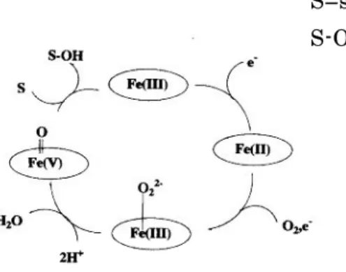 Figure 6.    Reaction cycle in P-450 proposed by Groves. 