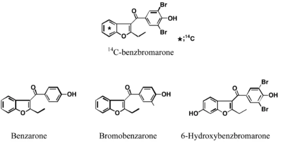 Fig. 1. Chemical structure of  14 C-benzbromarone and its related compounds.