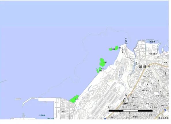 図 2-10  沖縄島周辺海域の海草藻場分布図（浦添）  ※緑のポリゴン：藻場の範囲、合計藻場面積（11.30 ﾍｸﾀｰﾙ）  ※ポリゴンの数値は、藻場面積を示す  図 2-25  沖縄島周辺海域の海草藻場分布図（那覇空港）  ※緑のポリゴン：藻場の範囲、合計藻場面積（30.46 ﾍｸﾀｰﾙ）  ※ポリゴンの数値は、藻場面積を示す 