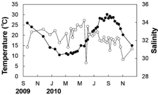 Figure 3. Seasonal changes in water temperature （closed cir- cir-cles） and salinity （open circir-cles） in the bottom layer at the  collection site.