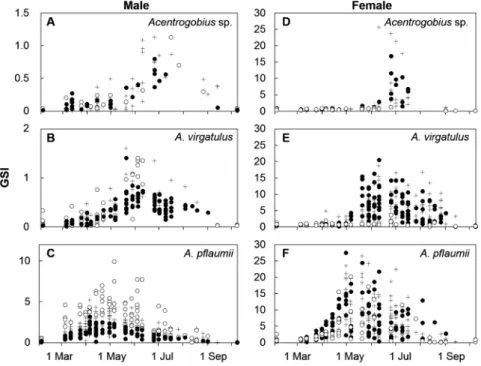 Figure 7. Variation in the GSI of the three Acentrogobius species over the breeding season （February–October, 2010） for both males 