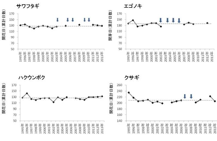 図 3 　樹種ごとの開花日の年変化　その 3 　　　　　　年毎の開花日は、 1 月 1 日を起算日として開花が確認されるまでの累計日数で示した。 　　　　　　点線は、1995年から2013年における平均開花日を示している。矢印は未開花だった年をさす。㐿⧎ᣣ䋨⚥⸘ᣣᢙ䋩㐿⧘ᣣ䋨⚥⸘ᣣᢙ䋩㐿⧎ᣣ䋨⚥⸘ᣣᢙ䋩㐿⧎ᣣ䋨⚥⸘ᣣᢙ䋩 平均開芽日より早く開芽し、17樹種が平均開花 日より早く開花したことから、これらの年にお ける観測値と1995年から2012年までの平均値を 比較した。1997年については平均気温・平均最