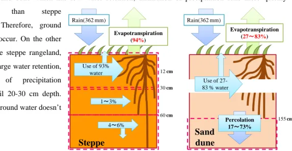 Fig. 2 Left) the water balance at steppe rangeland.  Right) the water balance at sand dune