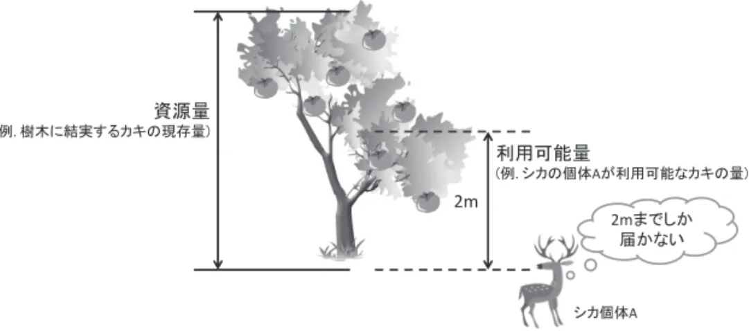 図 1  資源量（ resource abundance ）と利用可能量（ availability ）の違い 資源量は，対象種にとって利用可能か否かは関係なく，対象種の生息地に存在する資源の 現存量を示し，利用可能量は対象種が必要とする資源の利用しやすさを指す（ Morrison  2002 ）． 資源量(例