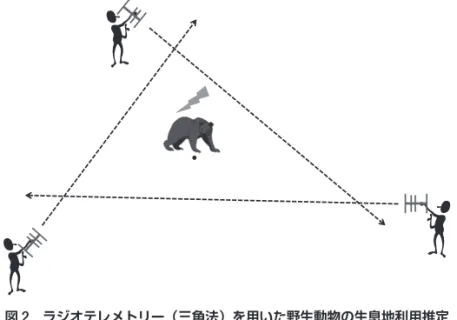 図 2  ラジオテレメトリー（三角法）を用いた野生動物の生息地利用推定 黒丸は三角形の重心を表わす．