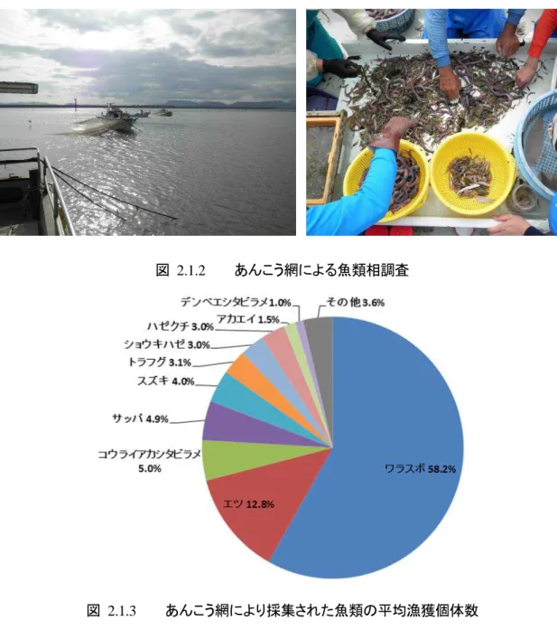 図  2.1.2      あんこう網による魚類相調査 