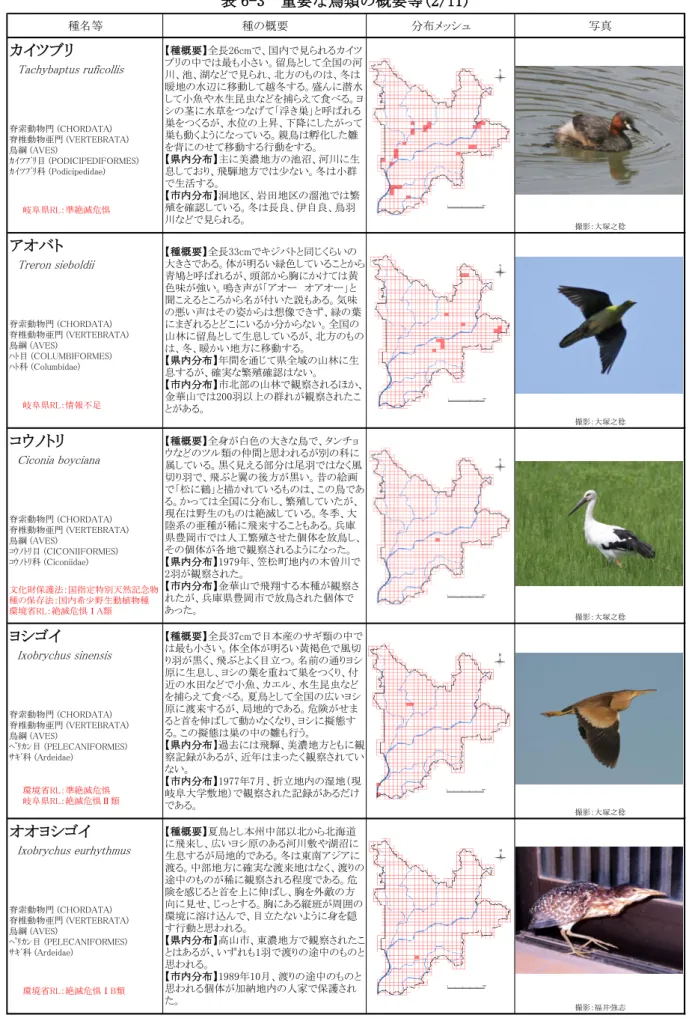 表 6-3  重要な鳥類の概要等(2/11)  種名等 種の概要 分布メッシュ 写真 カイツブリ 　 Tachybaptus ruficollis 脊索動物門 (CHORDATA) 脊椎動物亜門 (VERTEBRATA) 鳥綱 (AVES) ｶｲﾂﾌﾞﾘ目 (PODICIPEDIFORMES) ｶｲﾂﾌﾞﾘ科 (Podicipedidae) 撮影：大塚之稔 アオバト 　 Treron sieboldii 脊索動物門 (CHORDATA) 脊椎動物亜門 (VERTEBRATA) 鳥綱 (AVES) ﾊﾄ目 (