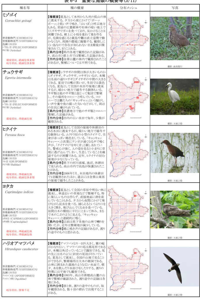 表 6-3  重要な鳥類の概要等(3/11)  種名等 種の概要 分布メッシュ 写真 ミゾゴイ 　 Gorsachius goisagi 脊索動物門 (CHORDATA) 脊椎動物亜門 (VERTEBRATA) 鳥綱 (AVES) ﾍﾟﾘｶﾝ目 (PELECANIFORMES) ｻｷﾞ科 (Ardeidae) 撮影：面高俊行 チュウサギ 　 Egretta intermedia 脊索動物門 (CHORDATA) 脊椎動物亜門 (VERTEBRATA) 鳥綱 (AVES) ﾍﾟﾘｶﾝ目 (PELECANIFO