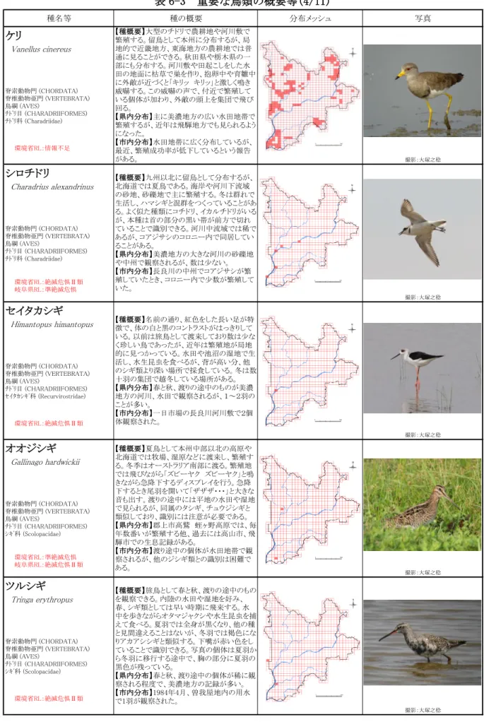 表 6-3  重要な鳥類の概要等(4/11)  種名等 種の概要 分布メッシュ 写真 ケリ 　 Vanellus cinereus 脊索動物門 (CHORDATA) 脊椎動物亜門 (VERTEBRATA) 鳥綱 (AVES) ﾁﾄﾞﾘ目 (CHARADRIIFORMES) ﾁﾄﾞﾘ科 (Charadriidae) 撮影：大塚之稔 シロチドリ 　 Charadrius alexandrinus 脊索動物門 (CHORDATA) 脊椎動物亜門 (VERTEBRATA) 鳥綱 (AVES) ﾁﾄﾞﾘ目 (CHAR