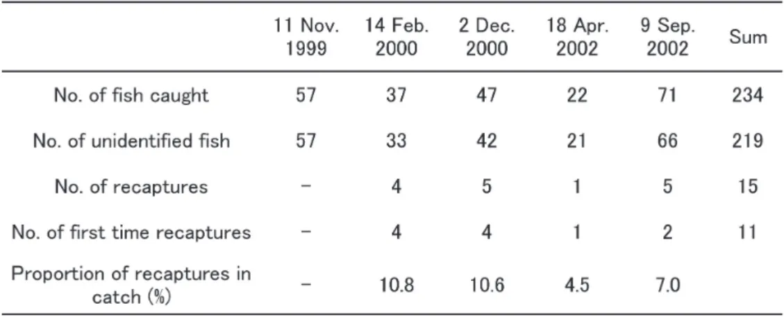 Fig.  1 に体長組成分布を示す．採集個体のうち，最 小 は 2002 年 9 月 に 採 集 し た 体 長 17.9mm ， 最 大 は 2000 年 12 月の 66.9mm であった．   1999 年 11 月に は体長 40 ～ 45mm に，その 3 カ月後の 2000 年 2 月 には 35 ～ 40mm にモードがある山が一つずつ見られ， これらの山は当歳魚（ 1999 年級群）が中心と判断され た．さらに， 1998 年以前に生まれた個体も 50mm 以 上に少数見られた． 2000