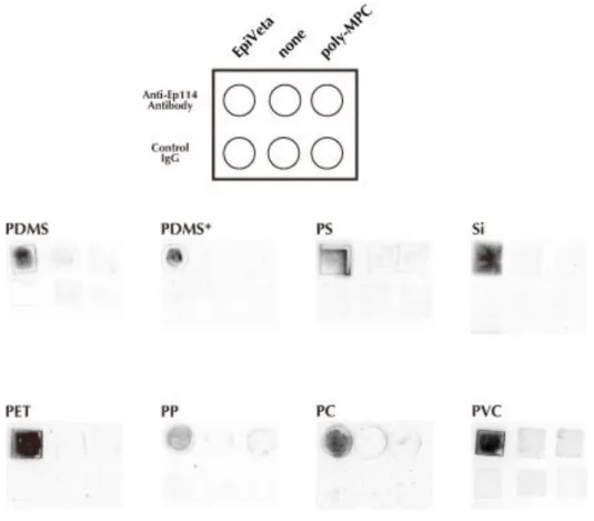 Figure S3. Surface coating of various materials with EpiVeta. A solution (50 μL) of 