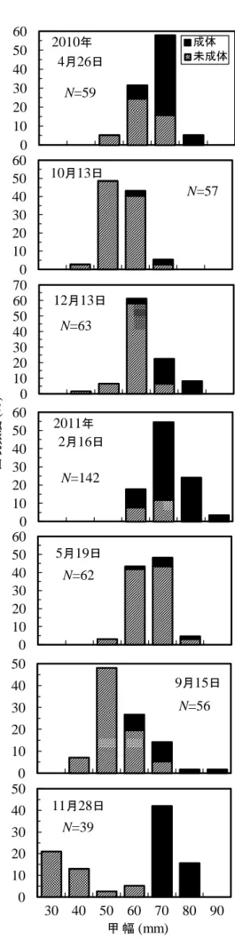図 2.  生残調査に供した雄ガニの甲幅組成 図 3.  生残調査に供した雌ガニの甲幅組成051015202530N=790510152025N=178010203040N=7401020304050N=320510152025N=108051015202530N=63಴⃻㗫ᐲ(%)010203040506030507090110 130<N=22↲ ᏷(mm)2010ᐕ4᦬26ᣣ10᦬13ᣣ12᦬13ᣣ2011ᐕ2᦬16ᣣ5᦬19ᣣ9᦬15ᣣ11᦬28ᣣ0102030405060 ᚑ૕ ᧂᚑ૕N=5