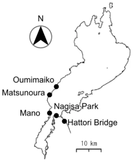 Fig. 1  Sampling stations around Lake Biwa  図１ 琵琶湖における調査地点
