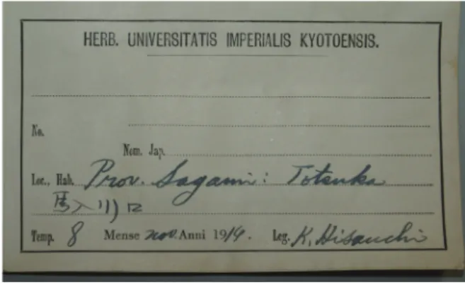 Fig. 2. The specimen (1) cited by the original description  (KYO). 