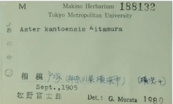 Fig. 6. The specimen collected in Tostuka（1） (MAK188132). 