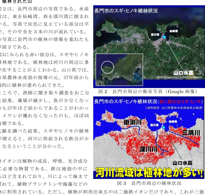 図 2  長門市周辺の衛星写真（Google 画像）  図 3  長門市周辺の植林状況 ４４４４      磯焼磯焼磯焼 けの磯焼けのけの 原因けの原因原因原因     磯焼けの原因としては諸説ある。主な原因としては以下のものが考えられている。 ・地球温暖化に伴って海水温が上昇し、海藻が生育できなくなった ・地球温暖化に伴って海流が蛇行し、海洋環境が大きく変化した ・石灰藻が岩の表面を覆うことで他の海藻の成長が阻害されている ・ウニやアイゴによって海藻の新芽が食害を受け、大きくなれない ・河川から供給される