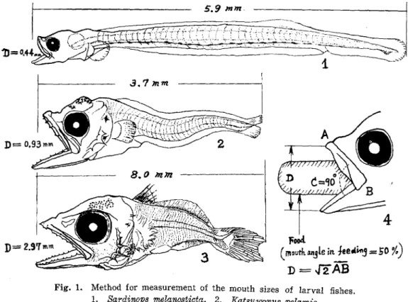 Fig.  1.  Method  for  measurement  of  the  mouth  sizes  of  larval  fishes . 1.  Sardinops  melanosticta