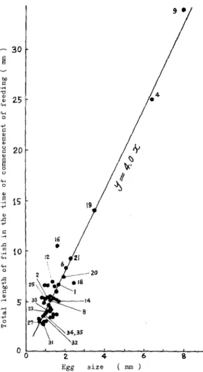 Fig.  3.  The  relationship  between  the  total  length  of  newly  hatched  larva  and  the  total  length   of fish  in  the  time  of  commencement  of 