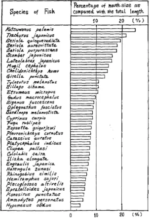 Fig.  4は 摂 餌 時 の 大 き さ と 口 径 と の 関 係 を 示 し た も の で あ る 。 サ ケ ・マ ス 類 及 び テ ン ジ ク ダ ツ は 摂 餌 時 の 大 き さ 及 び 口 径 も共 に 大 き い が,カ ツ オ,ヒ ラ マ サSeriola  aureovittata,カ ン パ チSeriola  purpurascens,