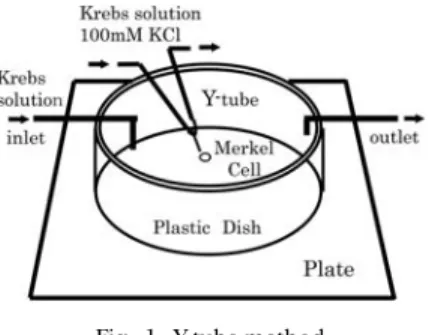 Fig. 1 Y-tube method