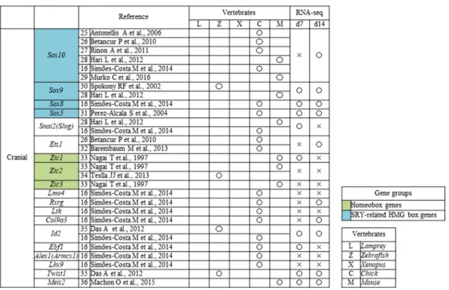 Table 2    Neural crest (NC) genes that have previously been examined in vivo