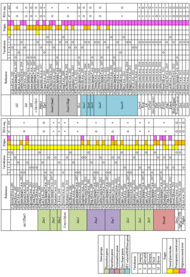Table 3  Neural crest (NC) transcription factors that have previously been examined in vivo Open circles indicate genes that were upregulated on day 7 (d7) or d14 compared with d0 [log fold change (FC) > 1, p < 0.01, false discovery rate (FDR) < 0