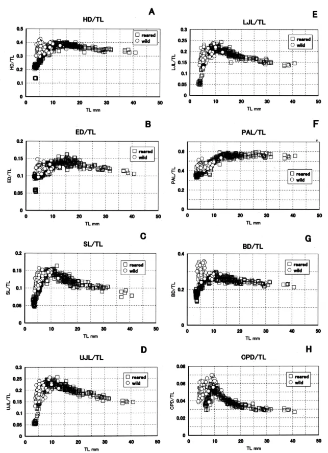 Fig. 2. Allometry of larvae and juveniles of Thunnus albacares. A: Relationship of the ratio of head length (HL) to total length (TL) and TL, B: relationship of the ratio of eye diameter (ED) to TL and TL, C: relationship of the ratio of snout length (SL) 