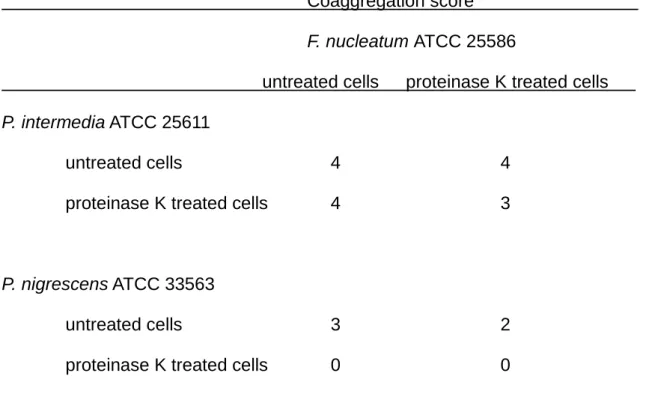 Table  4.  Effect  of  proteinase  K  treatment  on  coaggregation  reactions  of  F. 