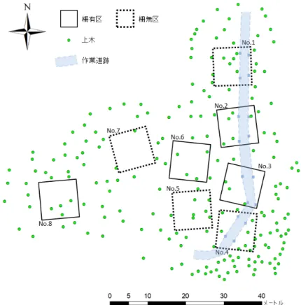 図  区画配置および植栽スギ・ヒノキ立木位置     Map of plots and standing Sugi and Hinoki trees 