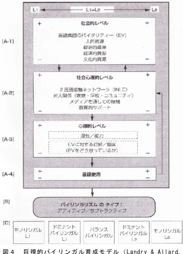 図 ４   巨 視 的 バ イ リ ン ガ ル 育 成 モ デ ル （ Landry &amp; Allard,  1992 p.225  中 島 1998 p.42 よ り 引 用 ）   で は 巨 視 的 バ イ リ ン ガ ル 育 成 モ デ ル の 図 を 追 っ て い く こ と に す る 。図 の 最 上 部 は 、各 レ ベ ル に 属 す る 個 々 の 要 因 を 、 「 L1⇔ L2」で 示 さ れ る L1（ 左 側 ）と L2（ 右 側 ） の 力 関 係 の 中 で 捉 え 