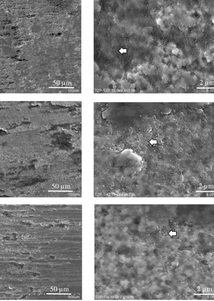Fig 6  Representative SEM images of worn surfaces of abrader specimens (TZP ). 50 µm 500 µm Abrader  : TZP Substrate: CpTi  2 µm 50 µm 500 µm 2 µm Abrader  : TZP Substrate: TiAlV 50 µm 500 µm 2 µm 