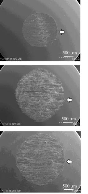 Fig 7  Representative SEM images of worn surfaces of abrader specimens (CpTi). Abrader  : CpTi Substrate: CpTi 50 µm 500 µm  2 µm 50 µm 500 µm  2 µm Abrader  : CpTi Substrate: TiAlV 50 µm 500 µm  2 µm 