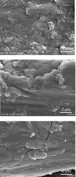 Fig 8  Representative SEM images of worn surfaces of abrader specimens (TiAlV). 50 µm 500 µm Abrader  : TiAlV Substrate: CpTi  2 µm 2 µm 50 µm 500 µm 2 µm Abrader  : TiAlV Substrate: TiAlV 2 µm 50 µm 500 µm 