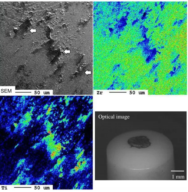 Fig 9  X-ray characteristic images of the worn surface of the TZP abrader specimen against CpTi substrate