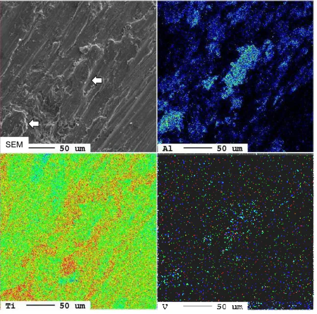 Fig 10  X-ray characteristic images of the worn surface of the CpTi abrader specimen against TiAlV substrate