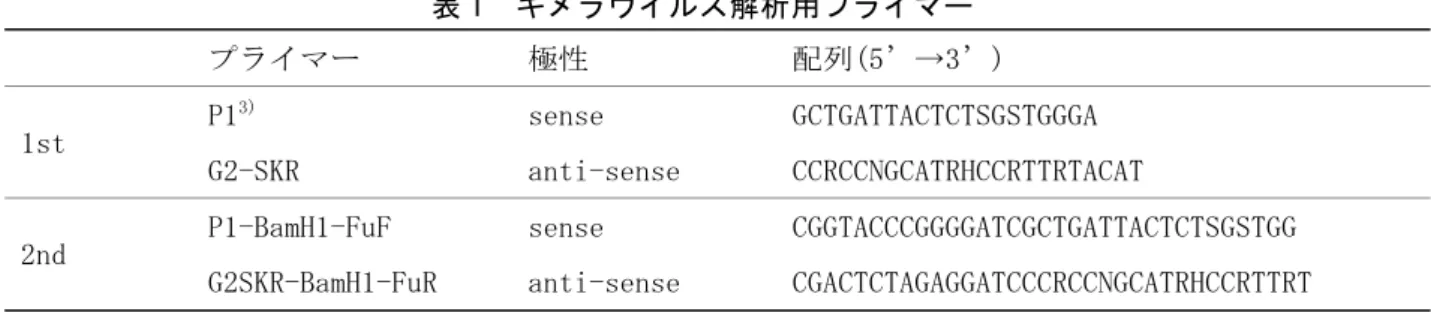 表 2  VP1 全長解析用プライマー 
