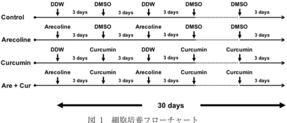 図 1　細胞培養フローチャート