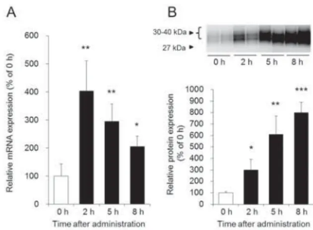 Fig. 2 SMIT 