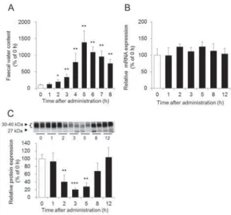 Fig. 8 SMIT  AQP3 