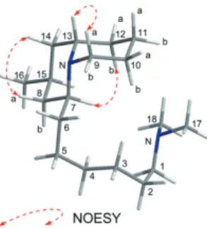 Fig. 17 Selected NOESY correlations and relative stereochemistry of 76. から､ さらなる研究の発展が望まれる｡  本研究を遂行するにあたり､ 平成 25 年度星薬科大学 大谷記念研究助成金を賜りましたことに対し､ 大谷卓男 理事長ならびに田中  治学長に深く感謝申し上げます｡ また､ 本研究の遂行のためにご指導､ ご協力を賜りまし た生薬学教室森田博史教授､ 金田利夫准教授ならびに同 研究室の皆様に深く感謝致します｡ 参考文献 1) h