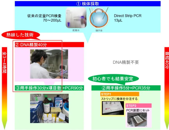 図 4  従来の定量 PCR 検査と Direct Strip PCR 検査の比較    検体量・時間・マンパワーの節約に繋がる 