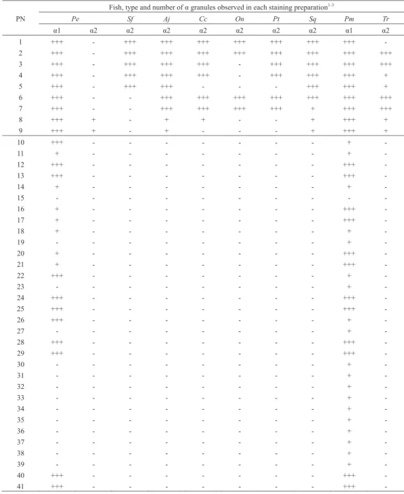 Table 4.　Summary of multiple Romanowsky-type staining characteristics of α granule in fish neutrophils
