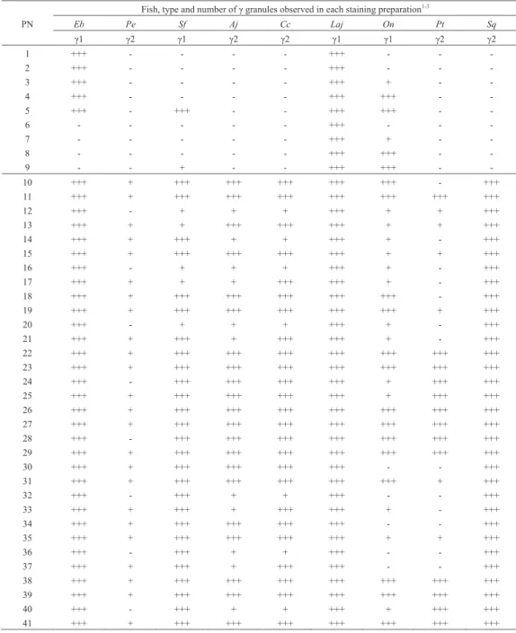 Table 5.　Summary of multiple Romanowsky-type staining characteristics of γ granule in fish neutrophils