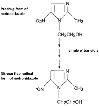 図  2  メトロニダゾールの化学構造及び化学的活性化 
