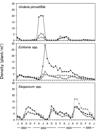 Fig. 7 Biomass of large brown algae from June 2002 to June 2005. Marks indicate three density levels (see the caption for Fig