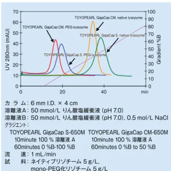 図 6　ネイティブたんぱく質とPEG化たんぱく質の分離選択性比較 PEG化たんぱく質 　イオン交換体は、PEG化たんぱく質の精製にも、よく使用されま す。図6に、TOYOPEARL	GigaCap	CM-650MとTOYOPEARL	GigaCap	S-650Mを用いた天然型及びmono-PEG化リゾチームの分離を示します。細孔径とイオン交換基導入方法の動的吸着量への影響　表 6に、6種類の TOYOPEARL充塡剤における 3種類の異なる分子量のたんぱく質の動的吸着量を示します。TOYOPEARL	Gig