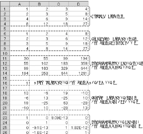 Figure 7. Examples of matrix calculations on an Excel worksheet.