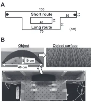 Fig. 1 Shuttle maze apparatus. 