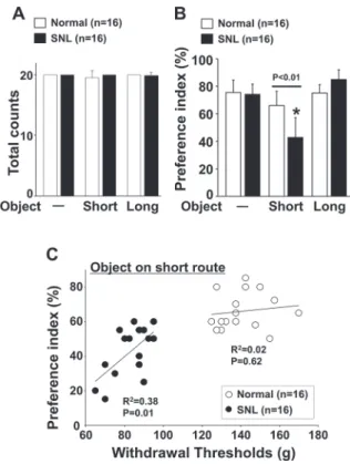 Fig. 2 Time course changes in withdrawal thresholds and preference index with the object on short route after SNL